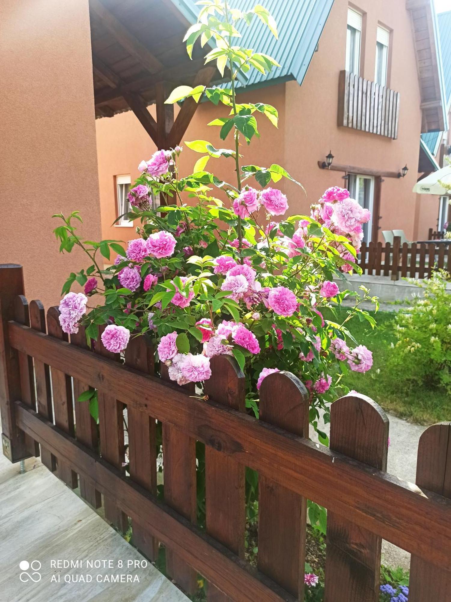 Holiday Home Ivana Kolašin Kültér fotó